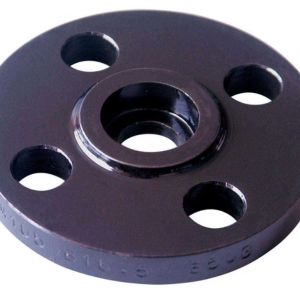 CS Socket Weld Flanges in malaysia