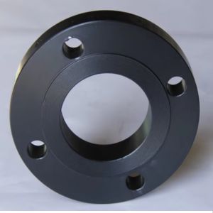 CS Threaded Flange in malaysia