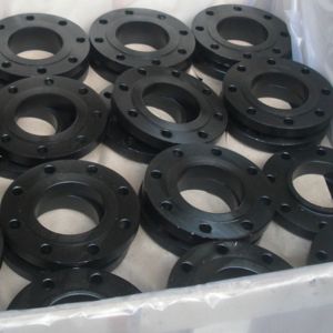 Carbon Steel LF2 Flat Face Flange in malaysia